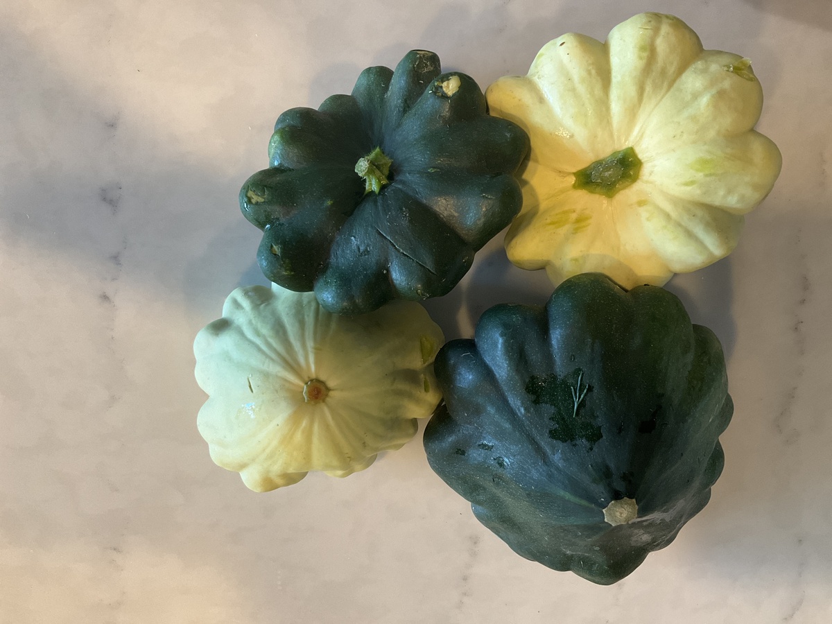 Long Walk Farm Squash, Patty Pan