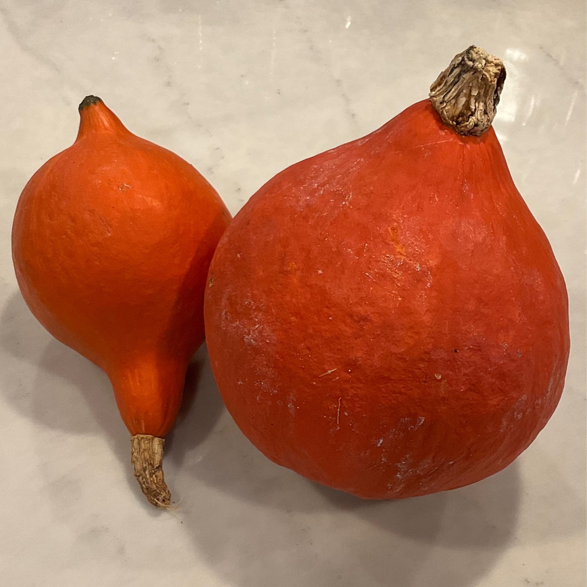 State Line Produce Squash, Red Kuri