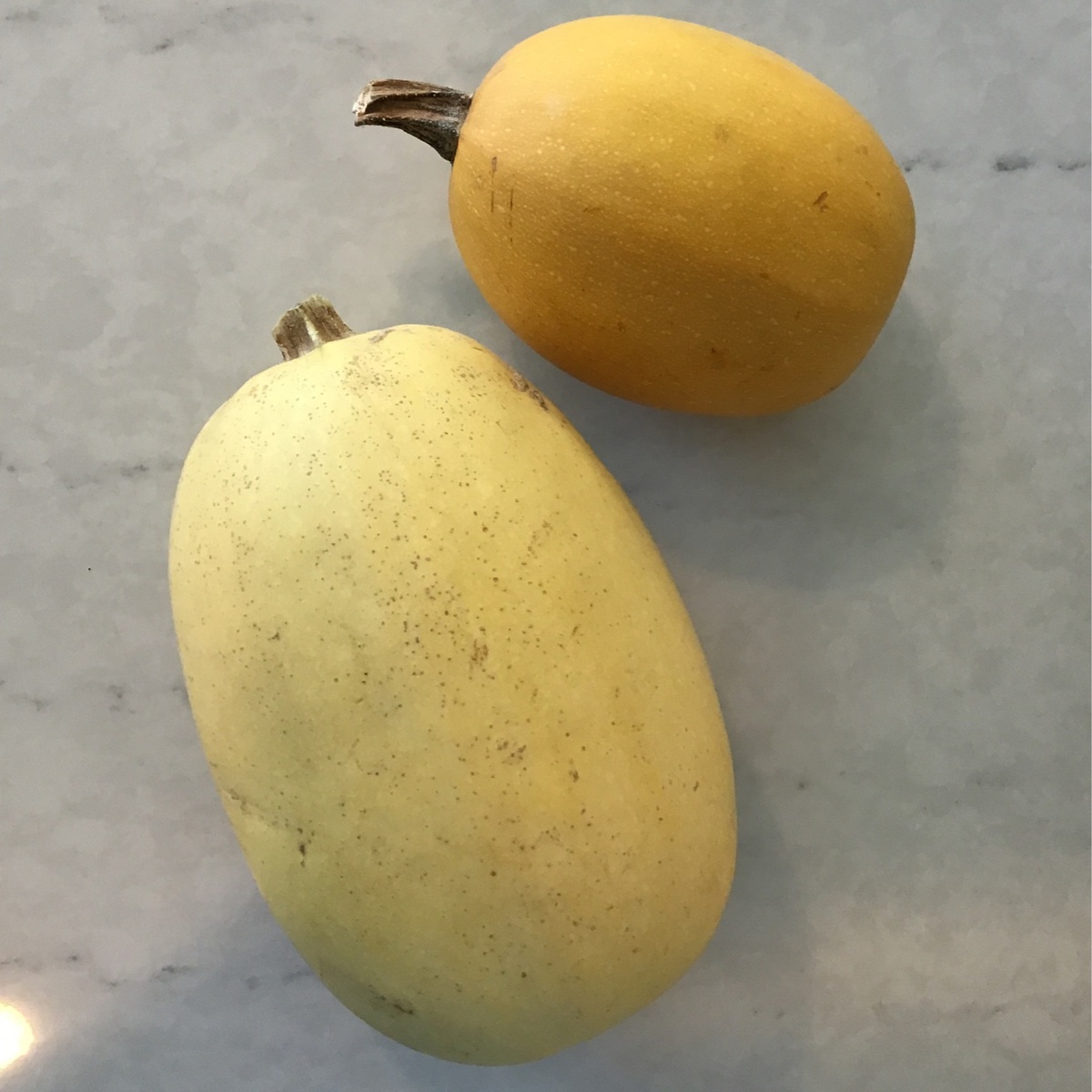 Stateline Produce Squash, Spaghetti organic produce
