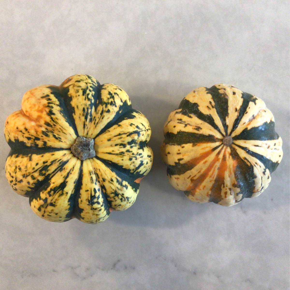Pekarek’s Produce Squash, Sweet Dumpling