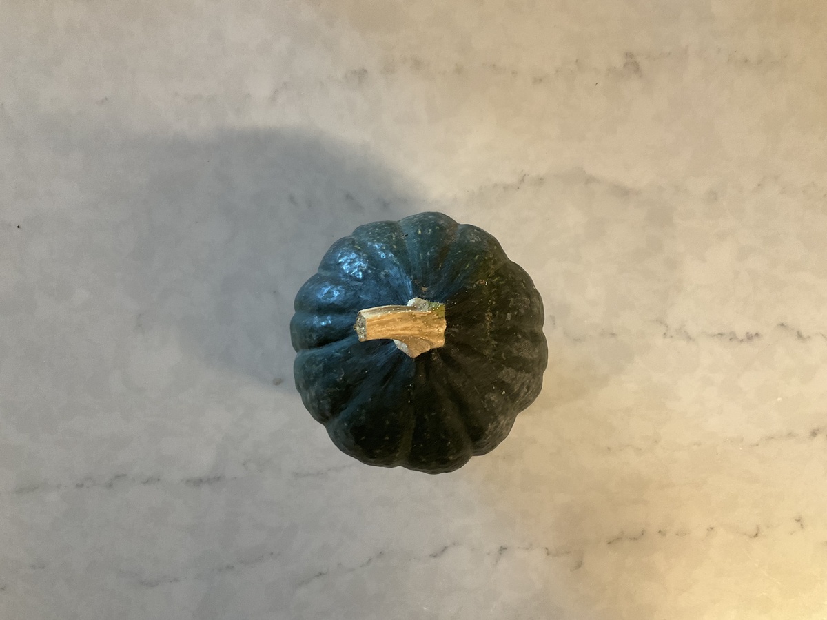 Long Walk Farm Squash, Tetsukabuto locally sourced