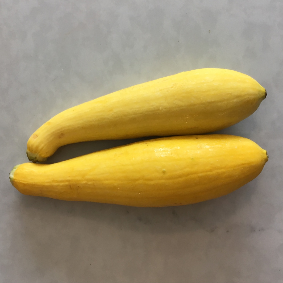 Meristem Farm Squash, Yellow Crookneck, Organic