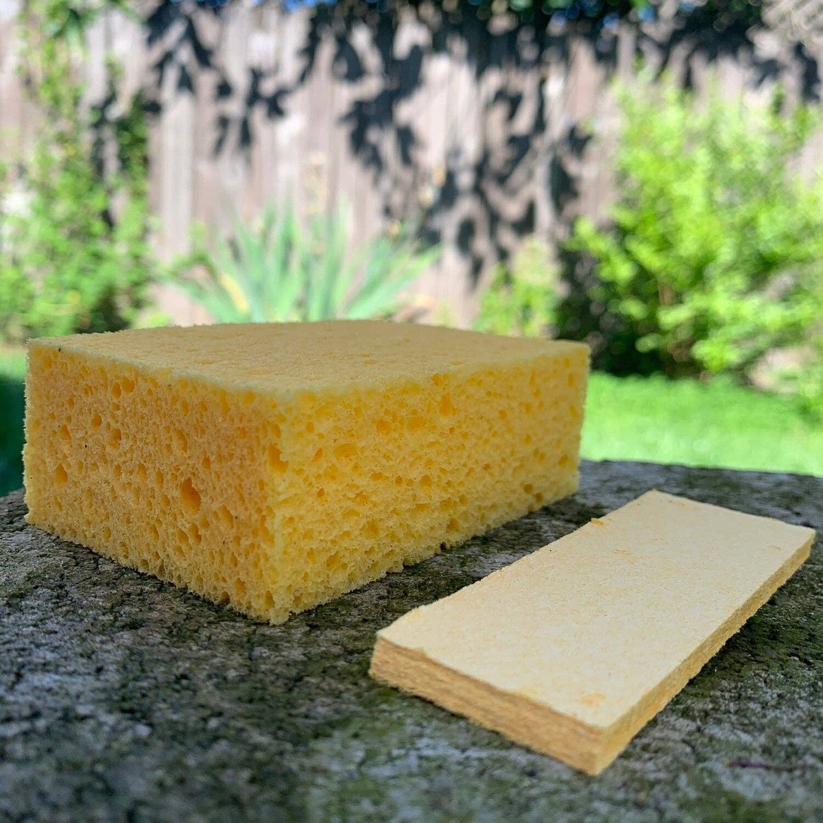 Silver Falls Sustainability Co. - Compostable Plant-Based Sponges plastic-free