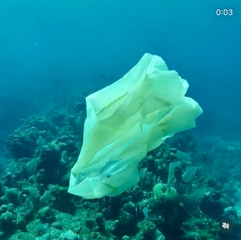 Plastic bag floating in seawater
